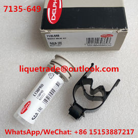 China DELPHI Repair kits 7135-649 (include nozzle L138PRD/L138PBD + valve 9308-621C/28538389 ) Overhaul kits 7135649 supplier