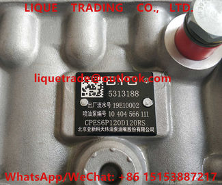 China Cummins Fuel Pump 5313188 , BYC PUMP 5313188 supplier