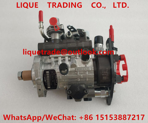 China DELPHI DP210 diesel fuel pump 9323A350G, 9320A210G, 9320A215G, 9320A217G for PERKINS 2644H013, CAT 236-8228, 248-2356 supplier