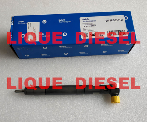 China DELPHI common rail injector EMBR00301D R00301D  for SSANGYONG Korando A6710170121 6710170121 supplier