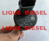 BOSCH Fuel pump pressure regulator, DRV 0281002500 for FIAT 9949317, IVECO 504016314, 42538165,  5001857386 supplier