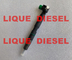 DELPHI Fuel injector 28347042 for DOOSAN 400903-00043E 40090300043E 400903 00043E supplier
