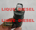 BOSCH common rail injector 0445110634 , 0445110375 for  8200912052, 7485121807, OPEL 93168212, 4420518 supplier