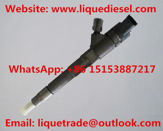 China Common rail injector 0445110273 for IVECO, FIAT 504088755, NEW HOLLAND 504377671 supplier