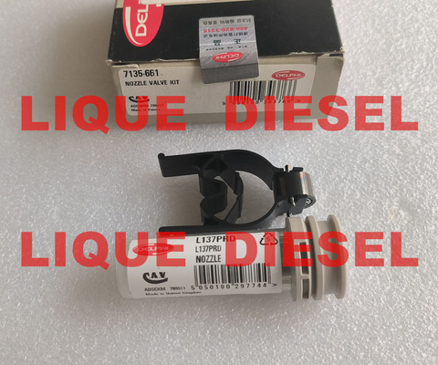 China nozzle valve kit 7135-661 , 7135 661 , 7135661, Genuine and New DELPHI NOZZLE 137PRD +CONTROL VALVE 28538389 /9308-621C supplier