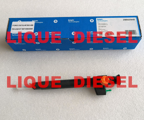 China DELPHI Common Rail Injector 28602948 9674984080  28388960  28319895 supplier