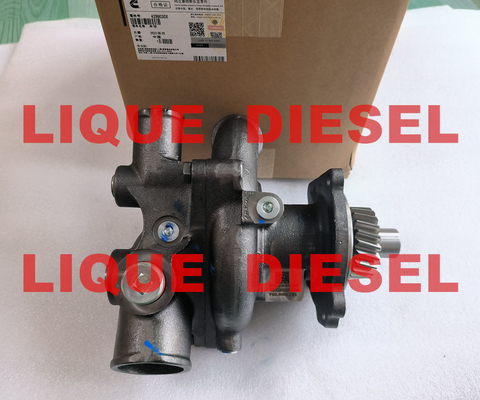 China Cummins Water Pump 4299030 4299030X P4299030 supplier