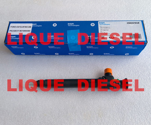 China DELPHI Common Rail Injector 28602948 , 9674984080 , 28388960 , 28319895 supplier