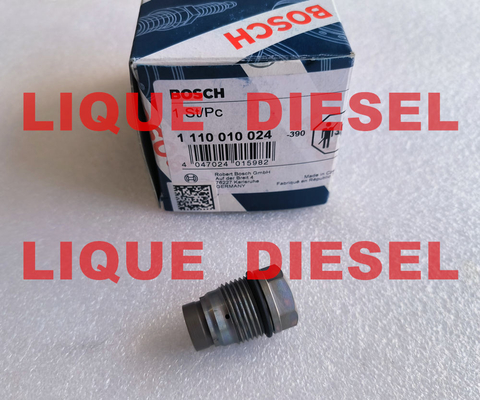 China BOSCH Pressure Relief Valve 1110010024 1 110 010 024 supplier