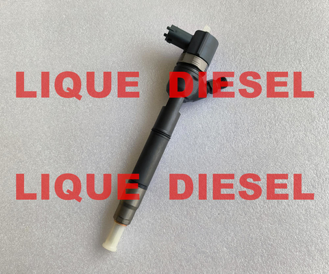 China BOSCH Common rail fuel injector 0445110410 33800-2A800 0 445 110 410 338002A800 33800 2A800 supplier