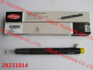 China DELPHI common rail injector 28231014 for Great Wall Hover H6 1100100-ED01 supplier