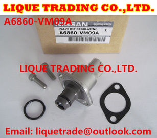 China Overhaul kits 294200-0360 294009-0250 for MITSUBISHI 1460A037, NISSAN A6860-VM09A supplier