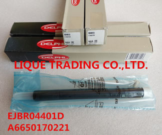 China EJBR04401D DELPHI injector EJBR04401D , R04401D for SSANGYONG A6650170221, 6650170221 supplier