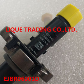 China DELPHI INJECTOR EJBR06001D , R06001D ,968843858 Original and New Common Rail Injector EJBR06001D , R06001D , 9688438580 supplier