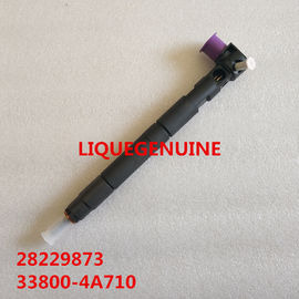 China DELPHI injector 28229873 / 33800-4A710 / 338004A710 for HYUNDA KIA supplier