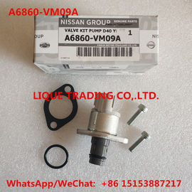 China DENSO Overhaul kits A6860-VM09A , include valve 294200-0360  NISSAN A6860VM09A supplier