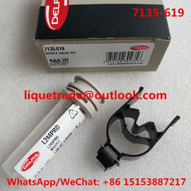 China DELPHI Genuine repair kits 7135-619 (include nozzle L244PRD + valve 28278897 ) Overhaul kits 7135 619 , 7135619 supplier
