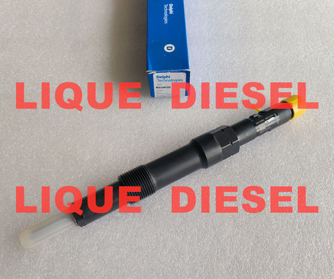 China DELPHI Fuel injector R00401Z R01001D EJDR00401Z EJDR01001D supplier