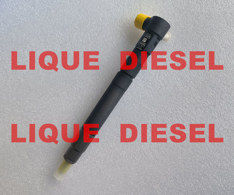 China DELPHI EMBR00301D Common rail injector R00301D 6710170121 A6710170121 for SSANGYONG Korando supplier