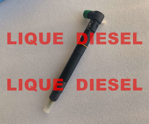 China DELPHI fuel injector 28384645 A6720170021 6720170021 for SSANGYONG D22 EURO 6 supplier