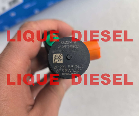 China DELPHI Common Rail Injector 28602948 9674984080 28388960 28319895 D57Q-9F-893-BB D57Q9F893BB supplier