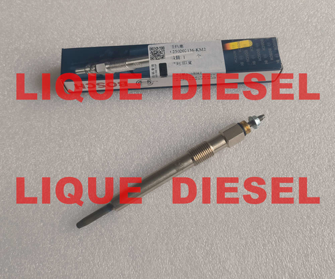 China BOSCH Glow plug 0250202136 3770100-E06 0 250 202 136 3770100E06 for Great Wall 2.8TC supplier