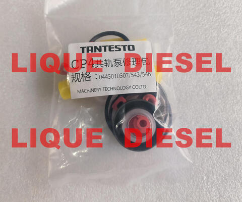 China CP4 pump repair kits CP4 pump overhaul kits for pump 0445010507 0445010543 0445010546 supplier