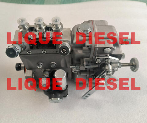 China Genuine Fuel Pump B3A504 BH3A95R common rail pump supplier