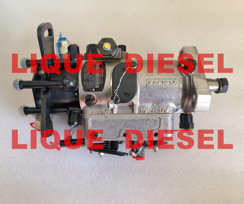 China Fuel Pump 3062F075 3062F074 3062F073 3062F072 3062F071 3062F070 3062F07# supplier