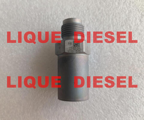 China Genuine valve 1033 1110010033 Pressure Relief Valve 1 110 010 033 supplier