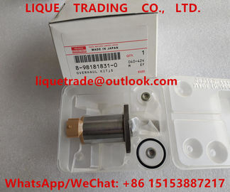 China DENSO OVERHAUL KIT 8-98181831-0 , 8981818310 , 98181831 Control Valve 294200-0670 , 294200 0670 , 2942000670 supplier