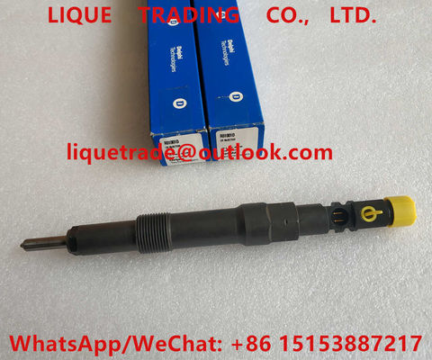 China DELPHI Fuel Injector R01001D , EJDR01001D Genuine Fuel injector R01001D , EJDR01001D supplier