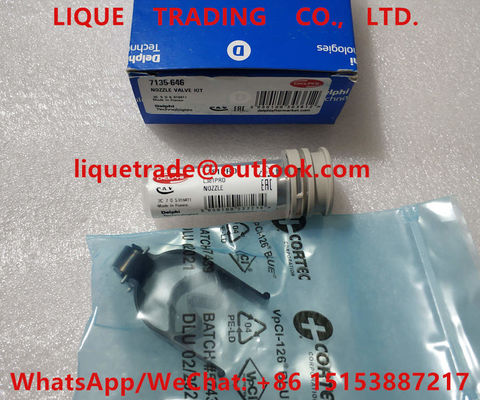 China DELPHI NOZZLE VALVE KIT 7135-646 include (nozzle L381PRD + valve 9308-621C / 28538389 ) 7135 646 , 7135646 supplier