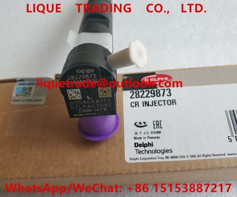 China DELPHI Common rail injector 28229873 , 33800-4A710 , 338004A710 for HYUNDA KIA supplier