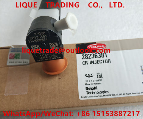 China DELPHI Common rail injector 28236381 , 33800-4A700 , 338004A700 for HYUNDAI supplier