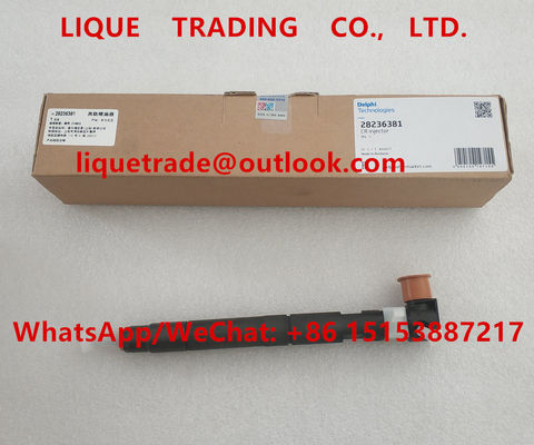 China DELPHI Common rail injector 28236381 for HYUNDAI Starex 33800-4A700 / 338004A700 supplier