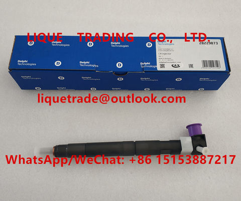 China DELPHI FUEL injector 28229873 , 33800-4A710 , 338004A710 for HYUNDA KIA 33800 4A710 supplier