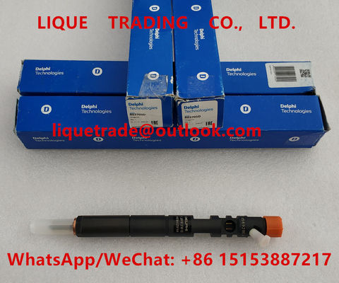 China DELPHI Fuel Injector EJBR03701D , EJBR02901D , R03701D for HYUNDAI &amp; KIA 33801-4X810, 33800-4X800 supplier