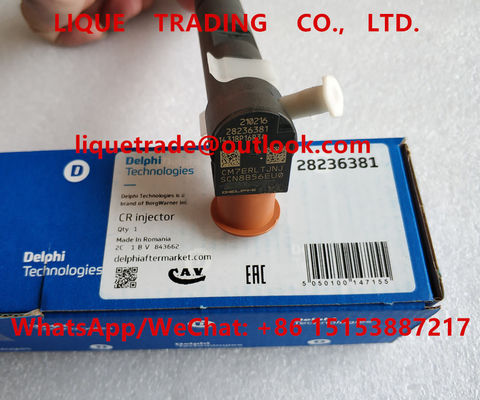 China DELPHI Fuel injector 28236381, 33800-4A700, 338004A700 , 33800 4A700 for HYUNDAI KIA supplier
