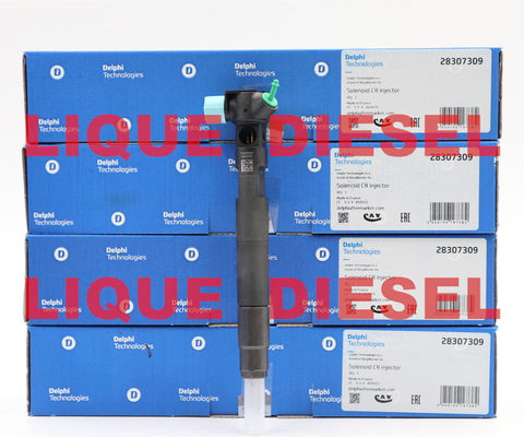 China DELPHI Fuel injector 28307309 , common rail injector 28307309 supplier