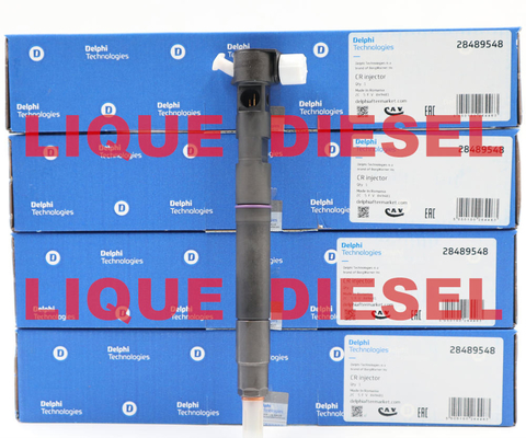 China DELPHI Common rail injector 28489548 , 25195089  /  28264951 , 25183186 supplier