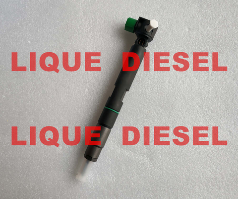 China DELPHI fuel injector 28347042 , 400903-00043E , 400903-00043D , 40090300043D , 400903 00043D for DOOSAN supplier