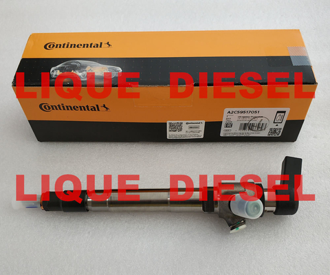 China Common Rail Injector BK2Q-9K546-AG  BK2Q9K546AG  A2C59517051  1746967 supplier