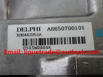 DELPHI pump R9044Z051A / R9044Z162A for SSANGYONG A6650700401, A6650700101 supplier