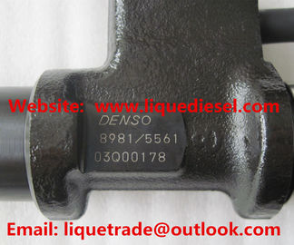 DENSO Common rail fuel injector 095000-8981 for ISUZU 6WG1 8981675561, 8-98167556-1 supplier