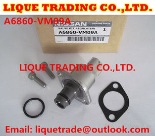 Overhaul kits 294200-0360 294009-0250 for MITSUBISHI 1460A037, NISSAN A6860-VM09A supplier