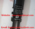 DELPHI injector EJBR04701D EJBR03401D for SSANGYONG A6640170221 A6640170021, 6640170221 supplier