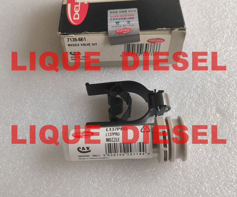 nozzle valve kit 7135-661 , 7135 661 , 7135661, Genuine and New DELPHI NOZZLE 137PRD +CONTROL VALVE 28538389 /9308-621C supplier