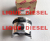 12900522080 Construction machinery piston kit and ring DST 4TNV88 3TNV88 4D88 3D88 129005-22080 for Yanmar diesel engine supplier