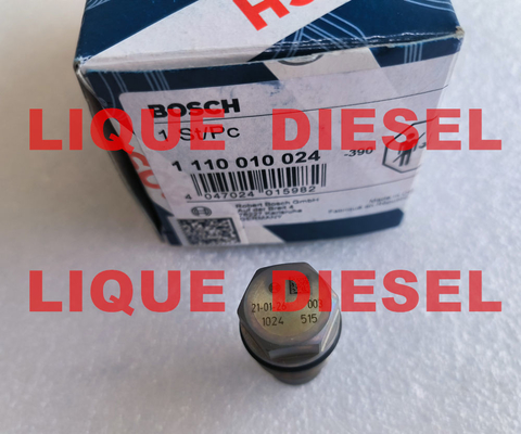 BOSCH Pressure Relief Valve 1110010024 1 110 010 024 supplier